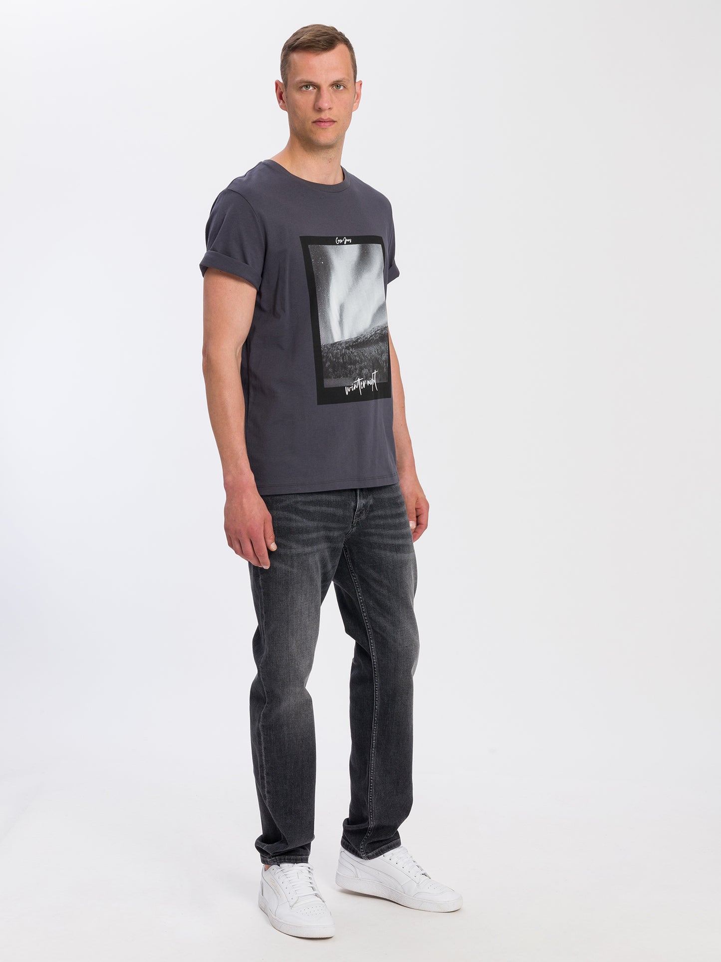 Herren Regular Print T-Shirt grau