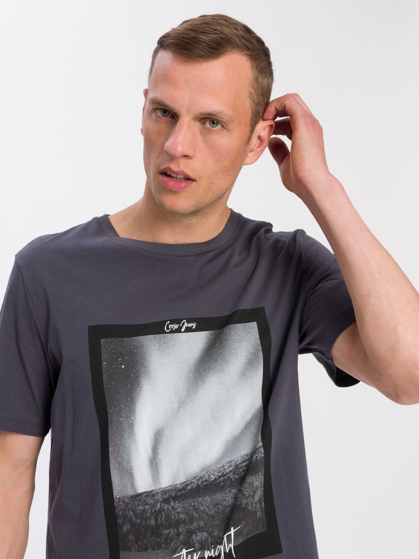 Herren Regular Print T-Shirt grau