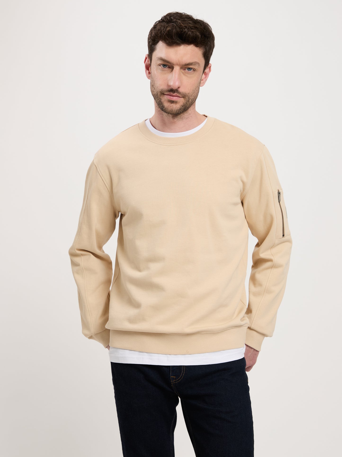 Men's regular sweatshirt with zip on the sleeve beige