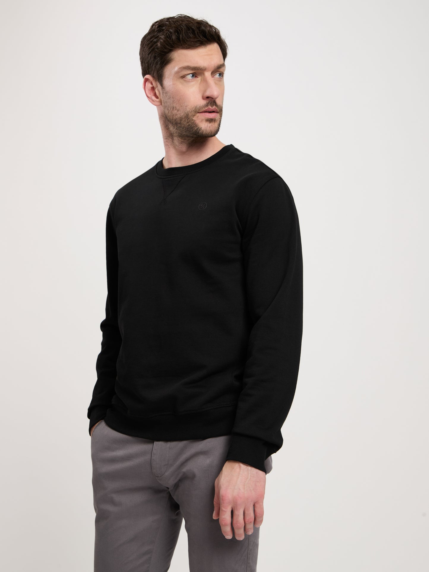 Herren Regular Sweatshirt mit aufgesticktem Logo schwarz