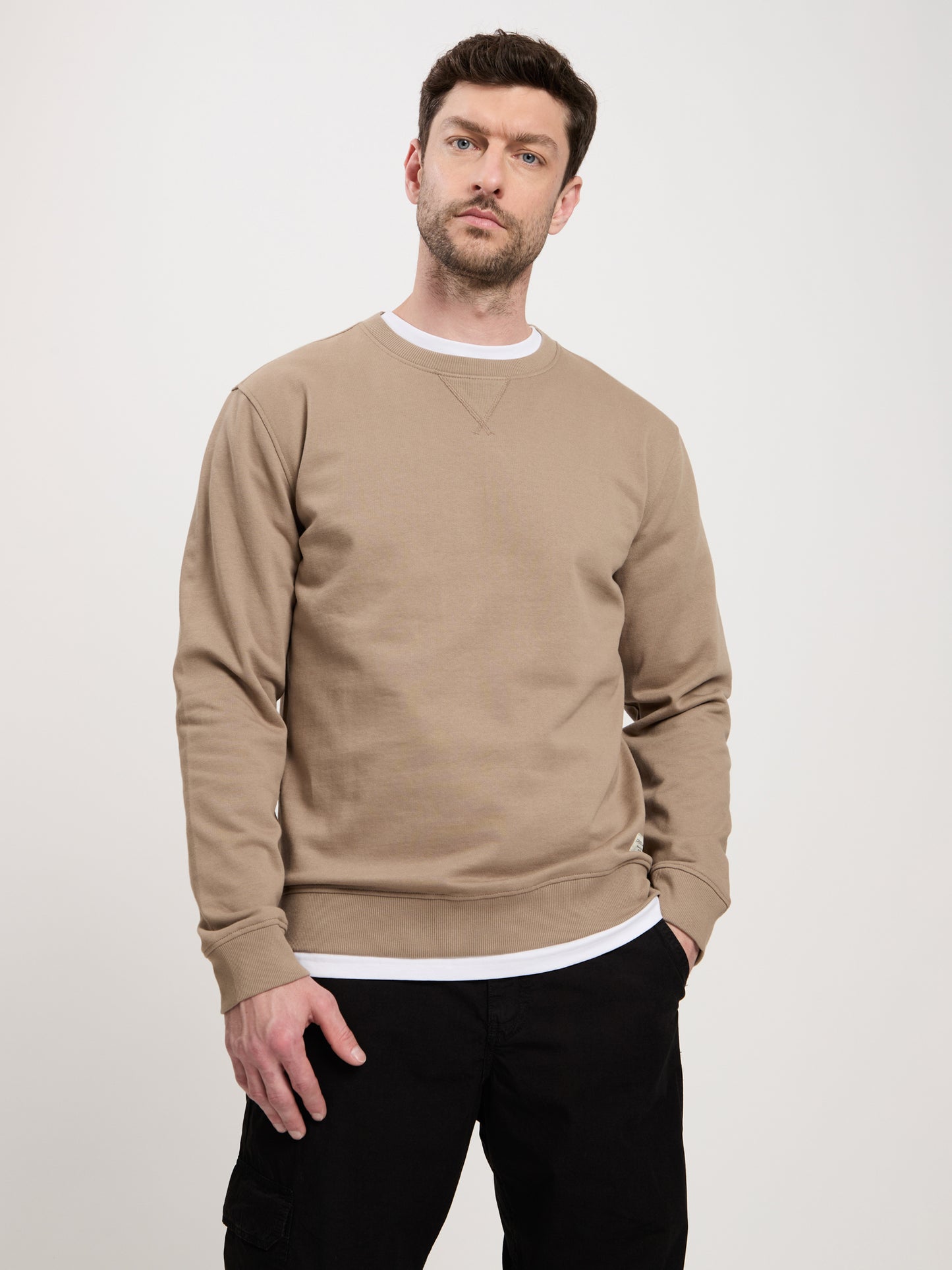 Men's regular sweatshirt in beige