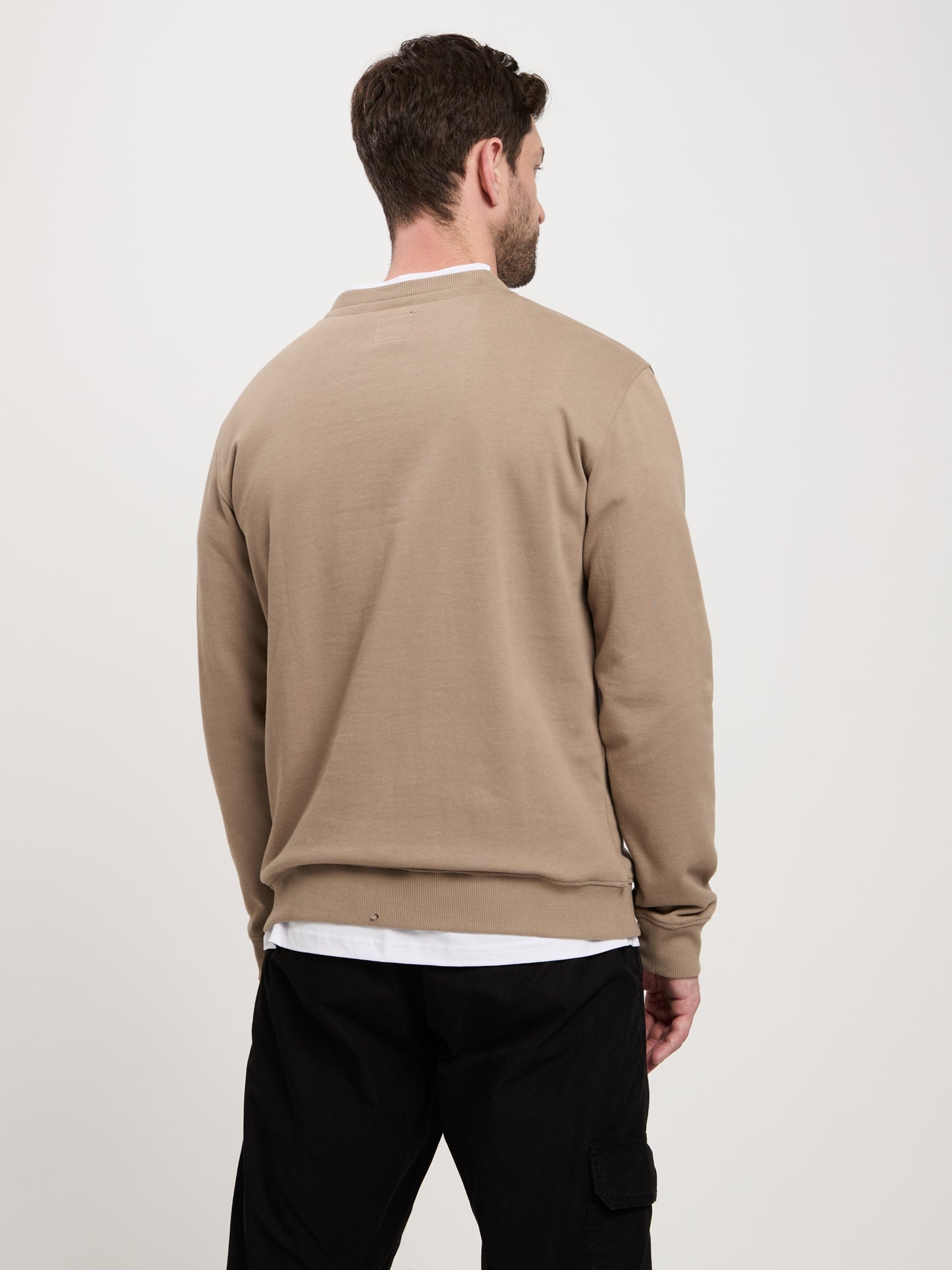 Herren Regular Sweatshirt in beige