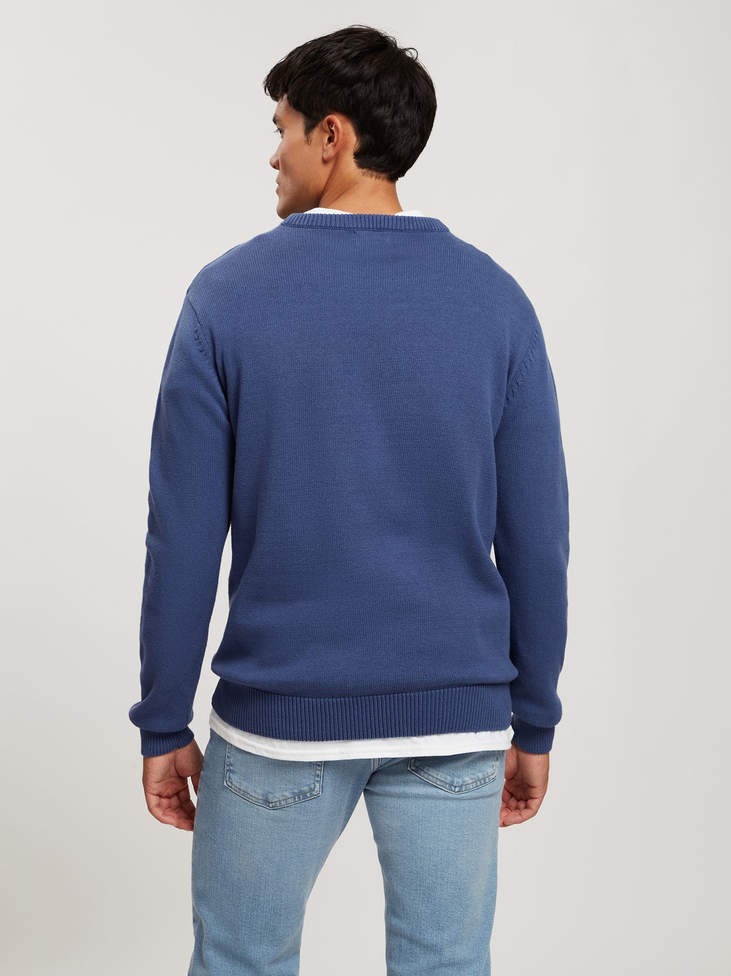 Herren Regular Ferinstrickpullover blau