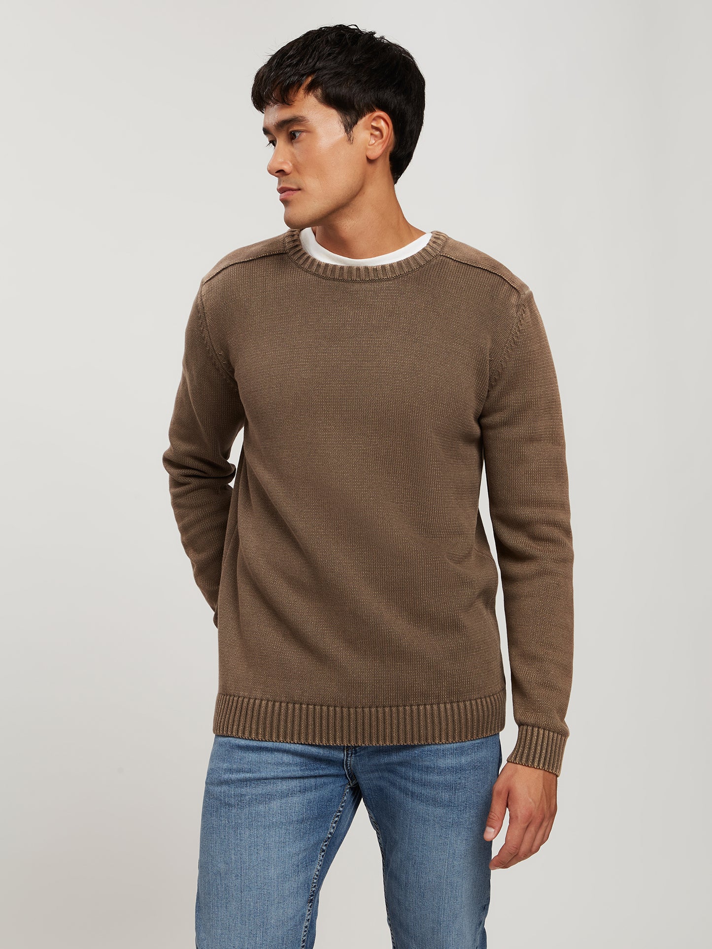 Herren Regular Strickpullover braun