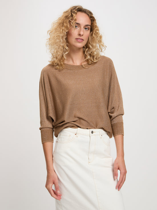 Damen Sweatshirt Regular fit in braun